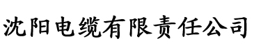 电影解说娘子小小电缆厂logo